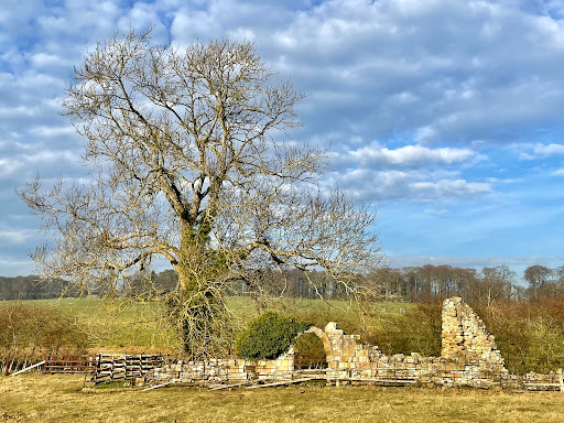 Ruins of St Leonard's Hospital - Thumbnail