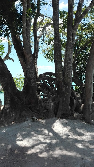 Photos of Caba&ntilde;as Laguna Milagros