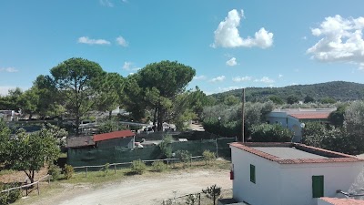 Photos of Village Little America