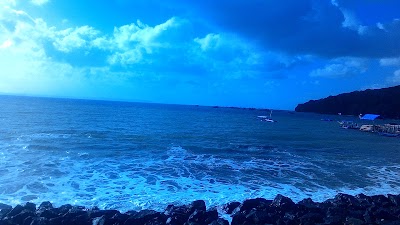 Photos of TJP Collection