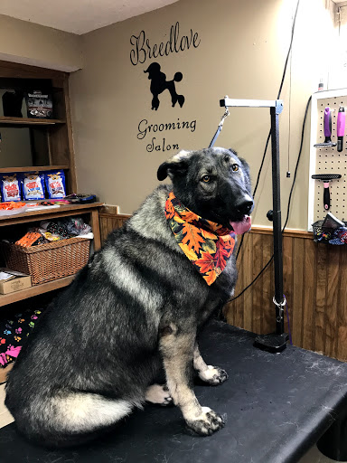 Breedlove Grooming Salon & Spa - Thumbnail