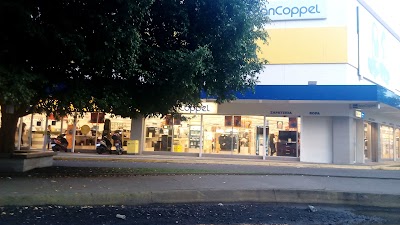 Photos of Coppel De La Fuente