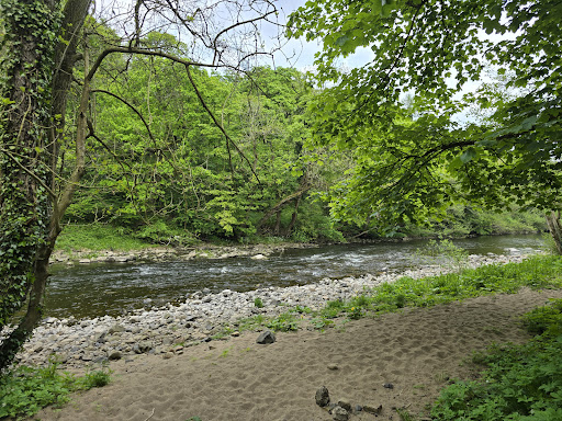 Escomb Nature Reserve - Thumbnail