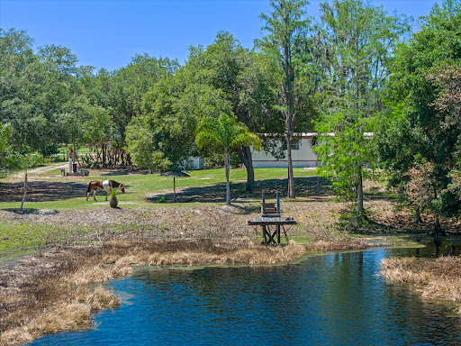 Geoffrey Lopez II, Central Florida Expert - Real Estate Broker, Radius Realty Group Gallery - United States