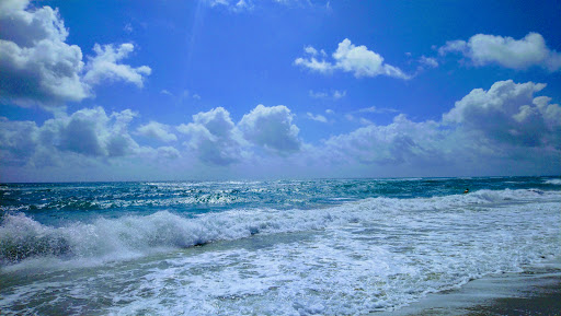 Ocean Cay Park - Visual