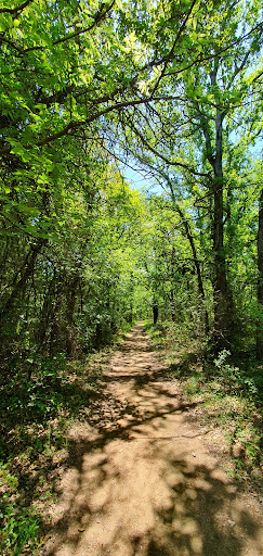 Bluebird Trail - Visual