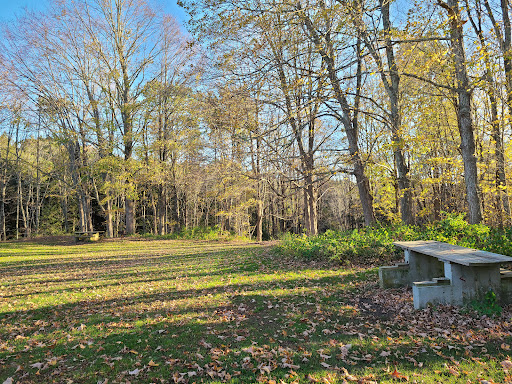 Grayville Falls Town Park - Thumbnail
