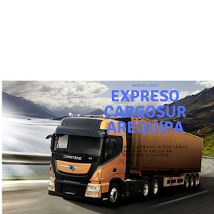 EXPRESO CARGOSUR AREQUIPA. 4