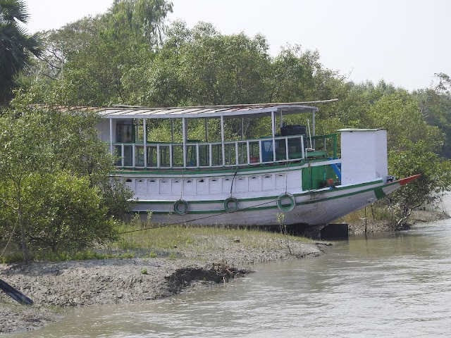 Sundarbans