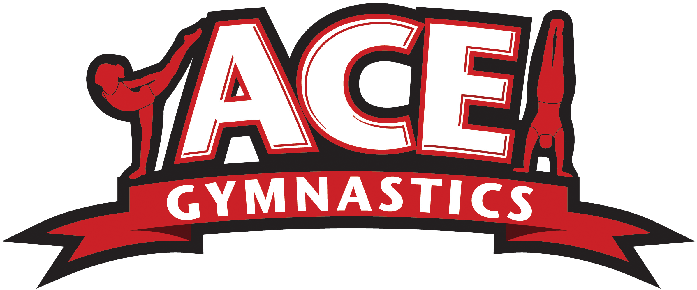 ACE Gymnastics-Longwood photo 13
