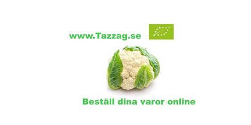 Tazzag Mat - Visual
