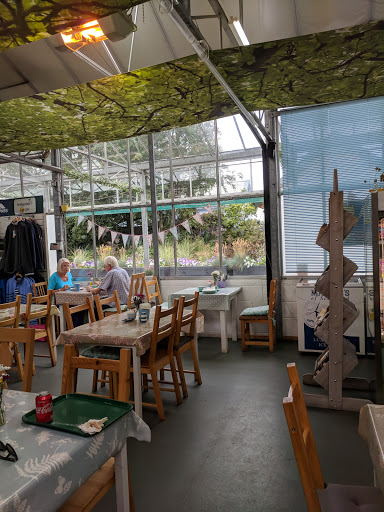 The Tree Shop Garden Centre Gallery - United Kingdom