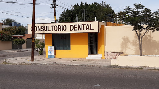 Orthodontic Dentist