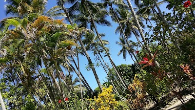 Photos of Albatros Cabarete