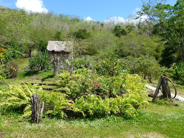 La Savane des Esclaves