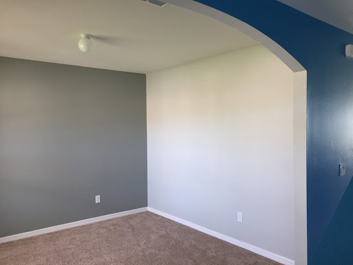Professional Painter Cleaner and Repair, LLC - Thumbnail