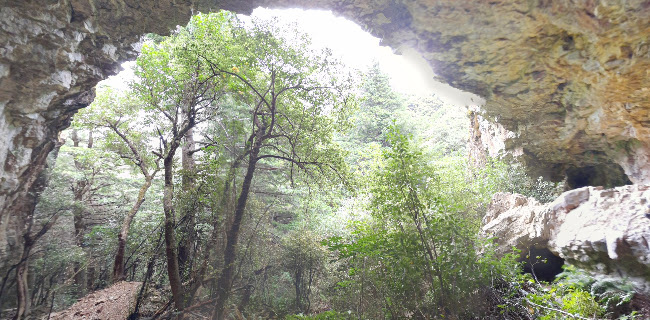 Reviews of Washpen Falls in Christchurch - Museum