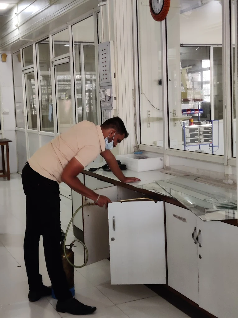 Professional pest control service