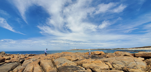 Leeuwin Lookout (Salt Point) - Thumbnail