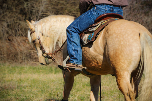 Michael Lyons Horsemanship Gallery - United States