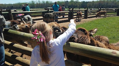 Photos of Lazy 5 Ranch