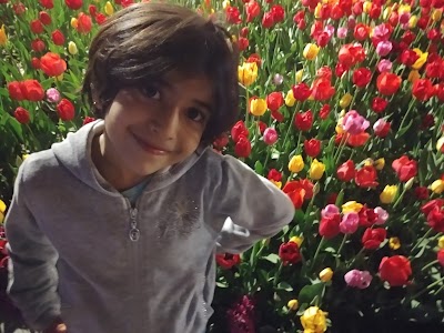 Photos of Zarafshan Flowers