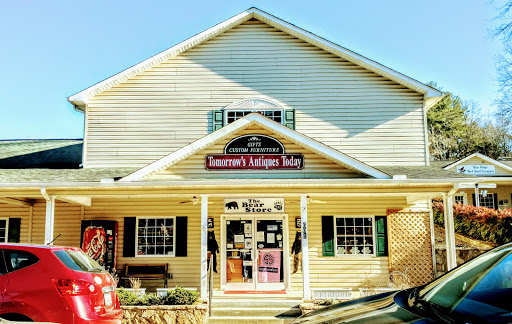 Bear Store - Visual