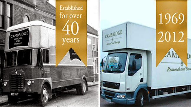 Comments and reviews of Brycelands Removals