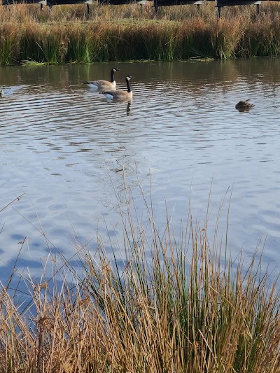 Boardman Wetlands and Nature Playground