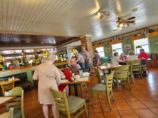 Catfish Haven - Visual