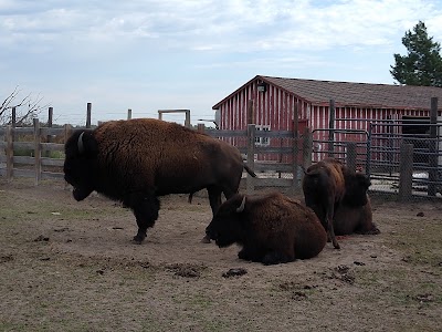 Buffalo Bill Ranch State Historical Park Museum