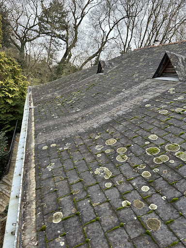Artilegrain couvreur demoussage nettoyage façade peinture intérieur extérieur Angers brain sur l’authion - Thumbnail