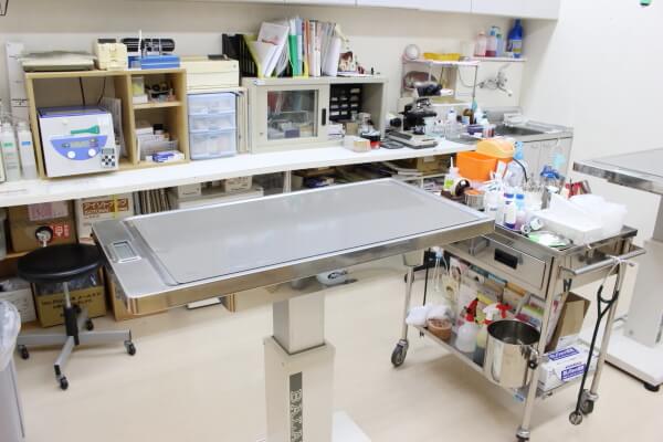 苗穂動物クリニック