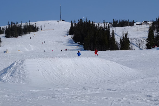 nesbyen skisenter