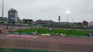 Federación Deportiva Peruana de Atletismo 4