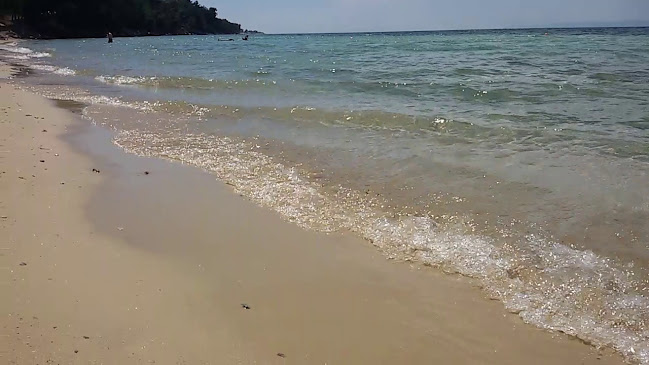 Σχόλια και κριτικές για το La Scala Beach