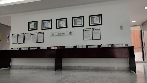 Electotal Court Branch of the Federation - Thumbnail