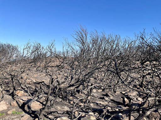 Iris Moore Reserve - Thumbnail