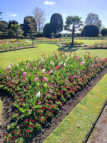 Comments and reviews of Brodsworth Hall and Gardens