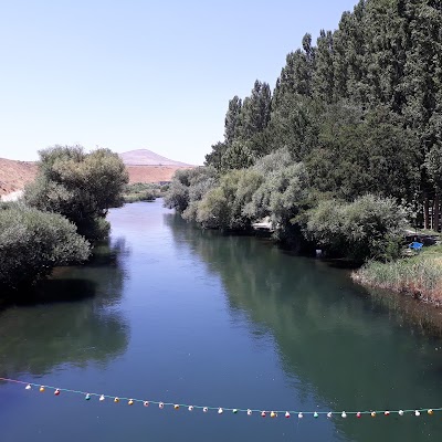 Photos of Mellat Park (Garden Mkayyl)