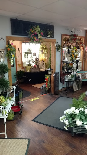 Sassy Stems Floral & Gift Boutique - Thumbnail