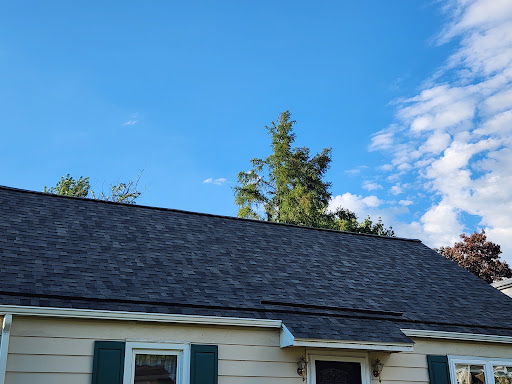 Pinnacle Roofing Inc. Logo