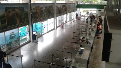 Photos of Pereira aeropuerto