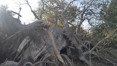 Photos of The Cove Retreat