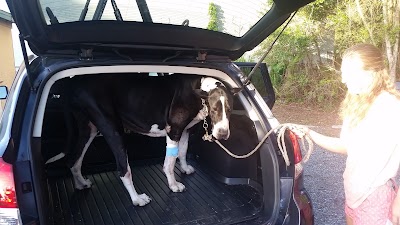 Photos of Woodland Animal Clinic