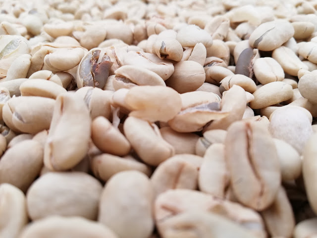 CACAO & CACAO Chocolate & Coffee Shops by null