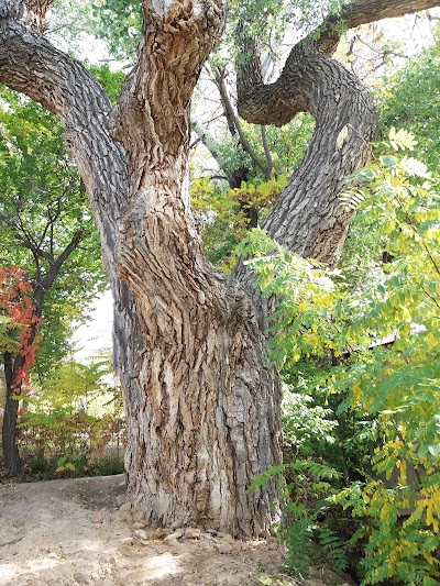 Chimayo Museum