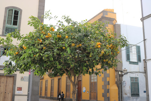 Palacio Episcopal - Visual