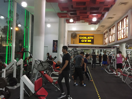 Gold's Gym Aguascalientes - Thumbnail