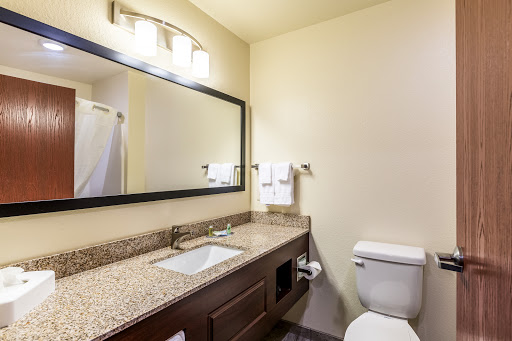 Cobblestone Hotel & Suites - Stevens Point - Thumbnail